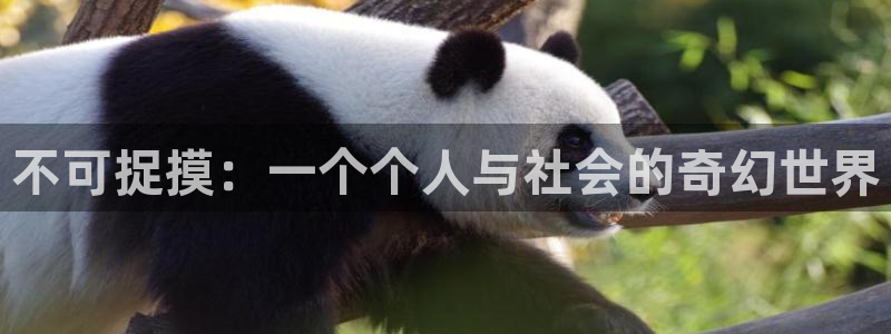 虫虫漫画免费韩漫：不可捉摸：一个个人与社会的奇幻世界