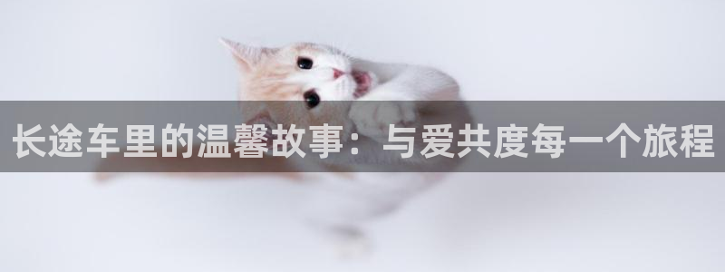 虫虫漫画吧1000字