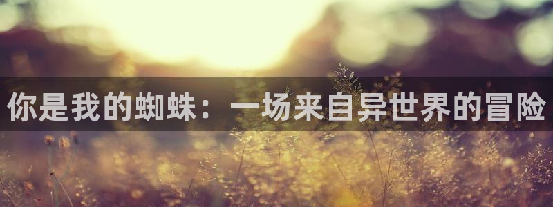 虫虫漫画永久网站免费观看