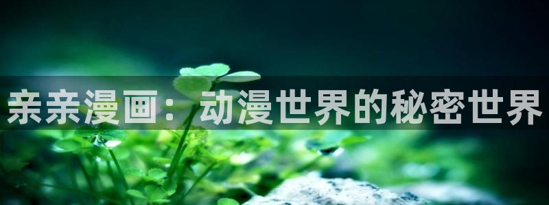 虫虫漫画官方页面免费漫画seo