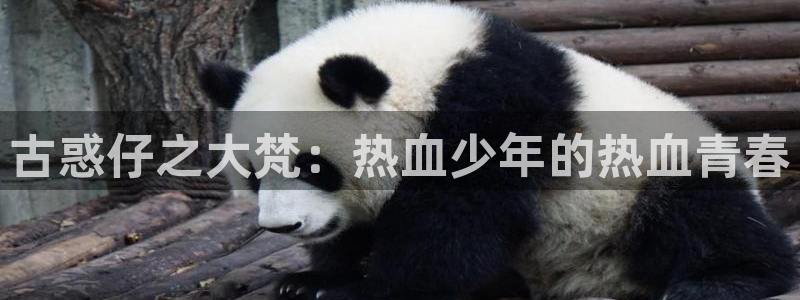 虫虫漫画页面免费漫画在线观看网站：古惑仔之大梵：热血少年的热血青春